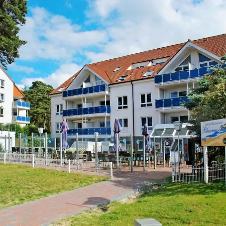Blaumuschel * Lubmin